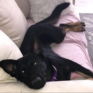 Meet your Posher, Helena